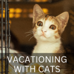 VACATIONING WITH CATS