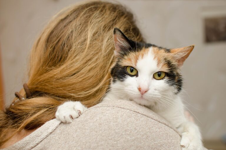 Cat mom