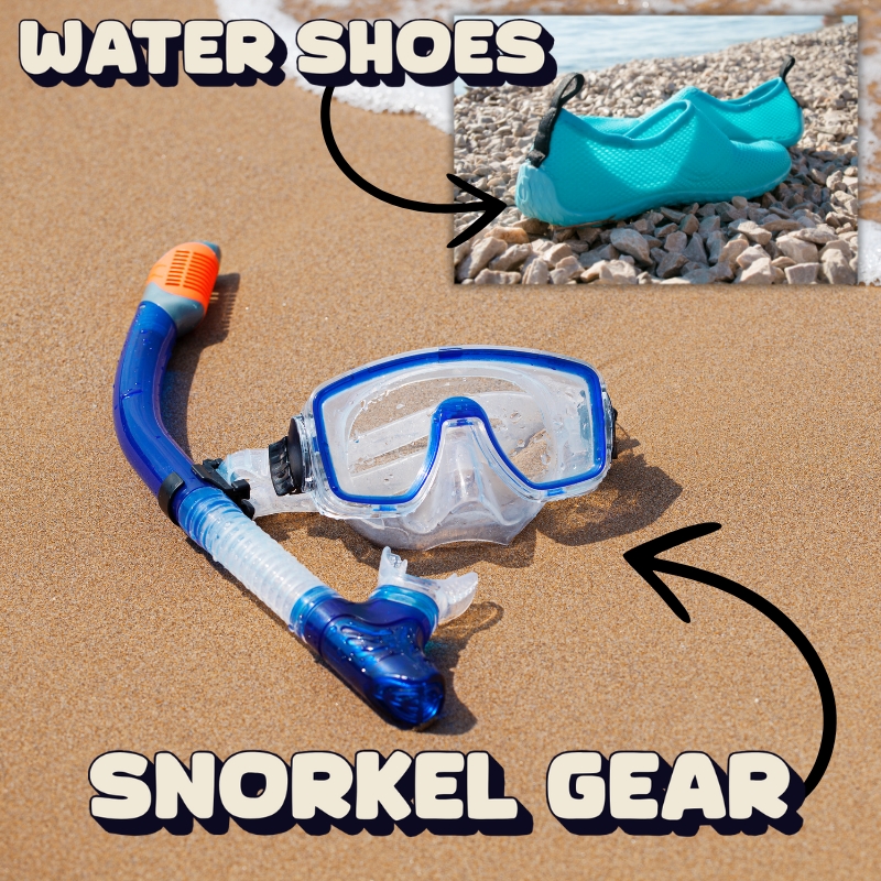 16 Cruise Essentials to Take on Your First Cruise, Snorkel Gear